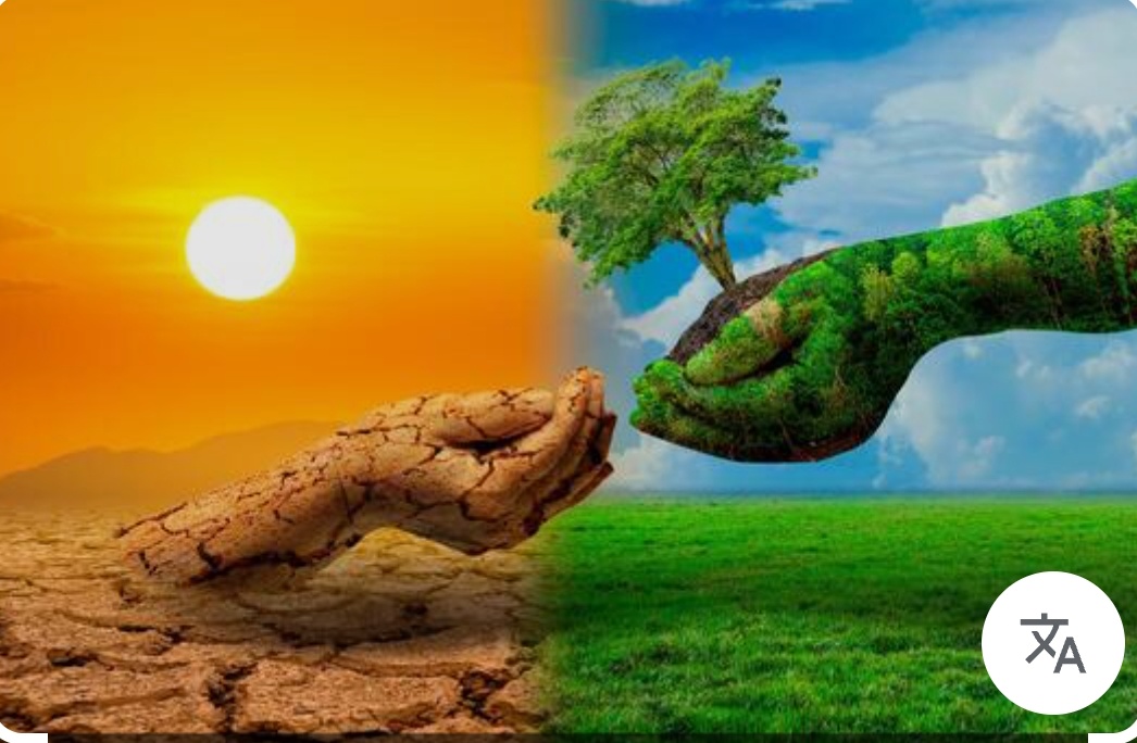 सायबर येथे शनिवारी पर्यावरण महोत्सव !पर्यावरणीय शाश्वतता या विषयावर प्रदर्शन व विक्री