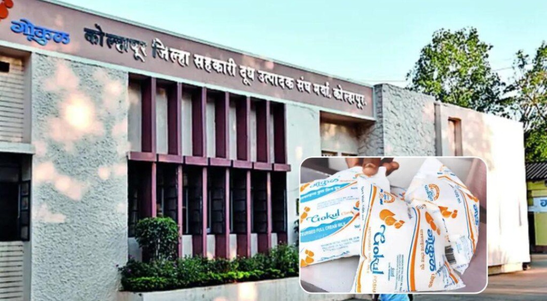 गोकुळचं अखेर ठरलं ! निवडणूक कार्यक्रम जाहीर !