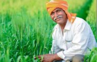 कर्जमाफी योजनेत महत्वाचे बदल